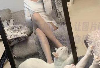 微密圈 – 提袜少女的日常，让图片说话，下载后想怎么分享随你便。